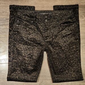 Liverpool Jeans Company Black and Brown Straight Leg Jeans